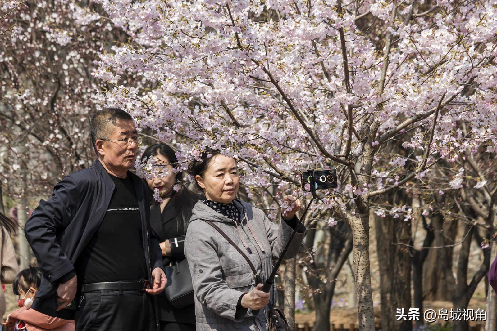 美丽的海滨城市青岛胶州,青岛胶州市美景