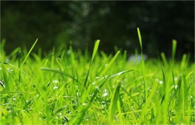 当我失恋了的时候该怎么办,我失恋了我很难过