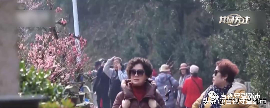 世界防治哮喘日,哮喘病遗传几率有多大