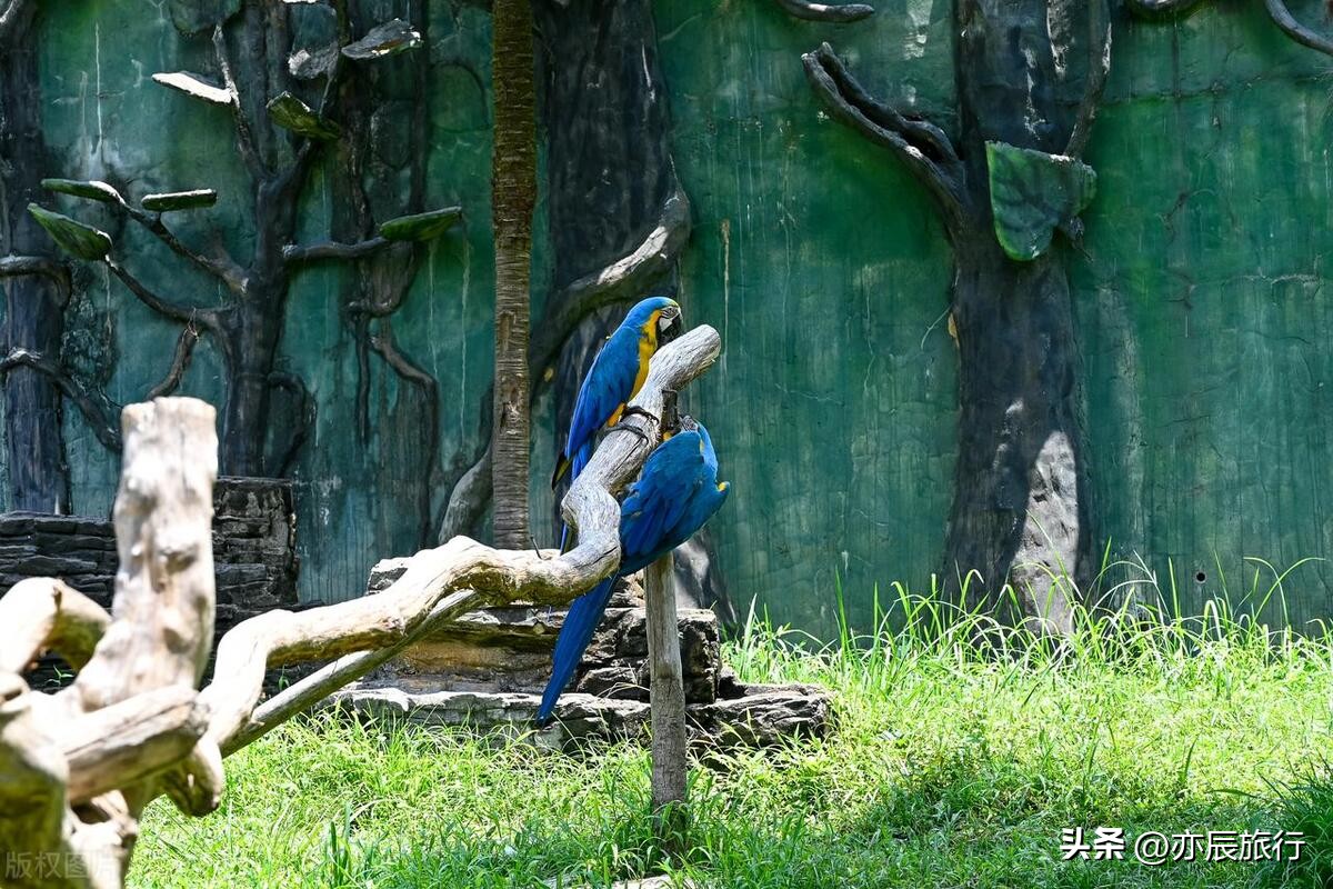 杭州周边有哪些旅游景点,杭州周边必去的十大旅游景点