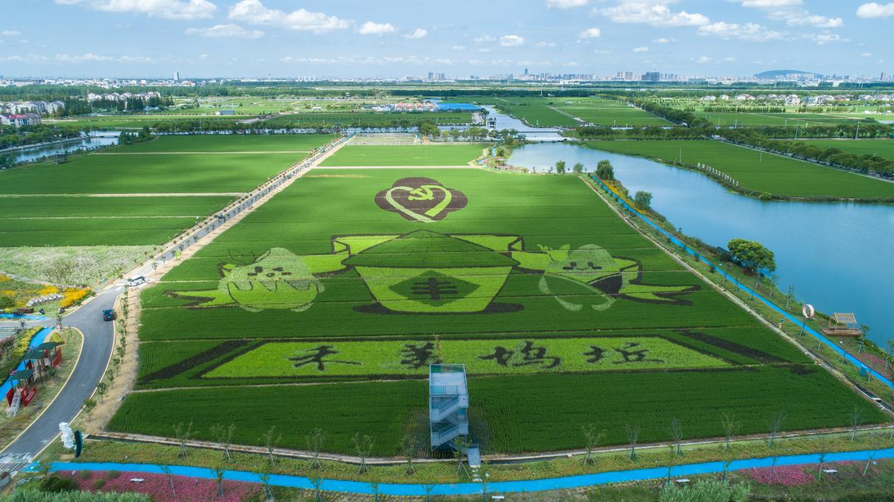 常熟之地“新粮农”