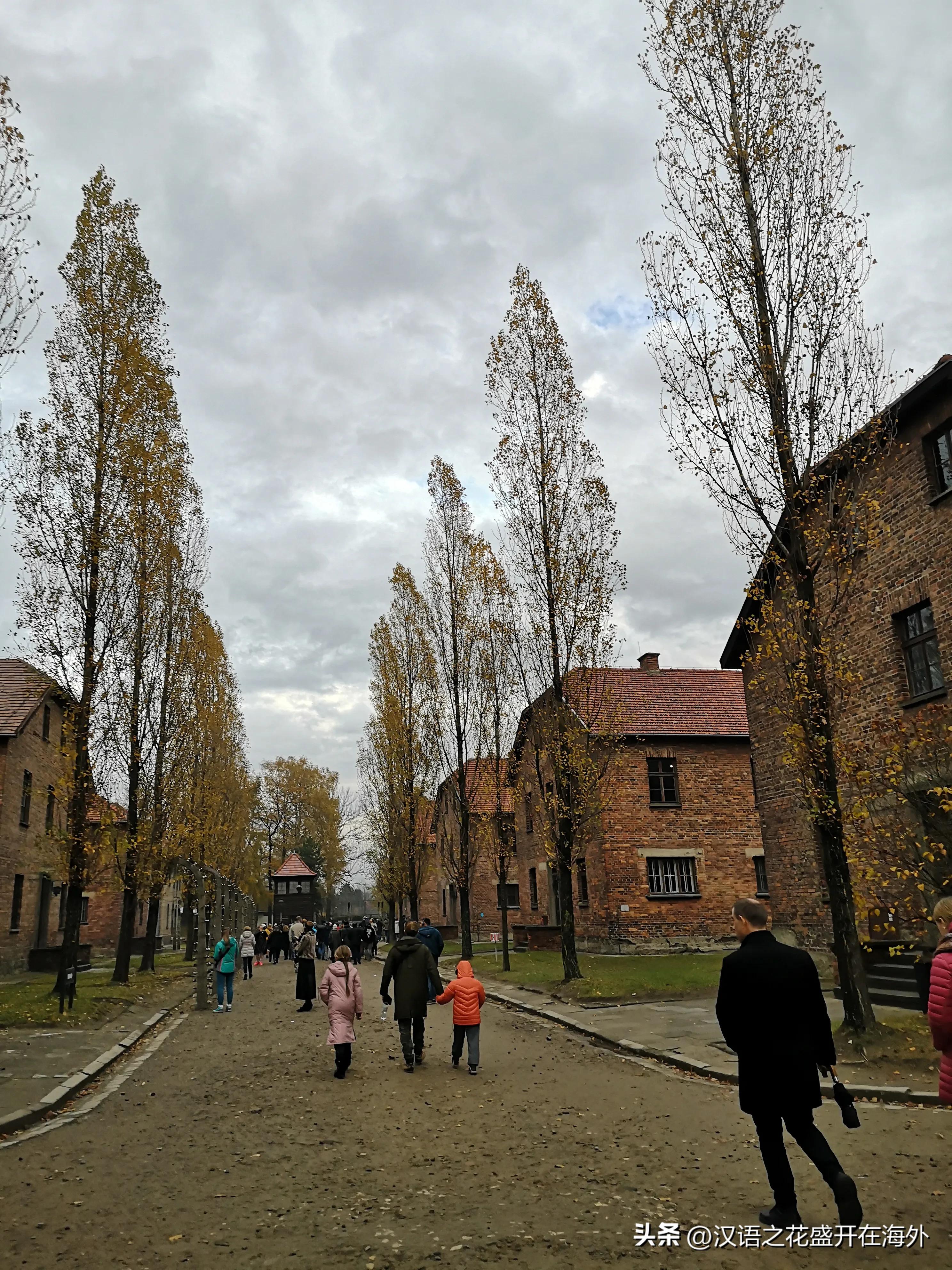 我在约旦一所大学教汉语，这里的＂中国制造＂超级多，生活趣事多