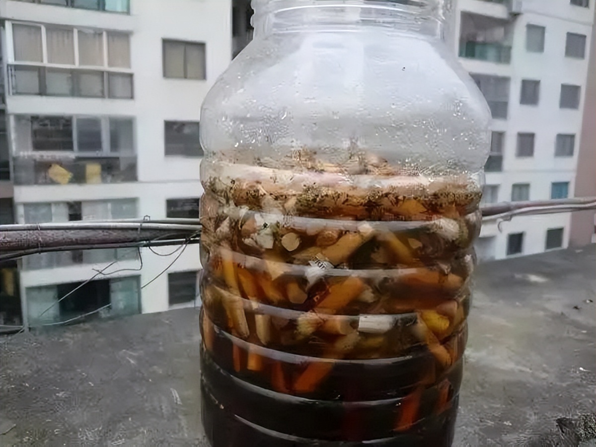 自制蔬菜万能杀虫水,自制万能杀虫水白醋