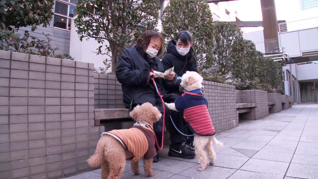 日本全女性“便利屋”：帮买东西，陪扫墓，帮改密码，全都做