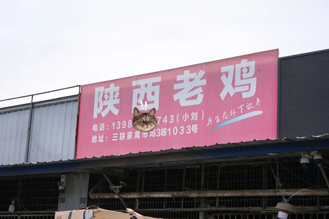 三联鸡鸭市场在哪里,三联市场家禽