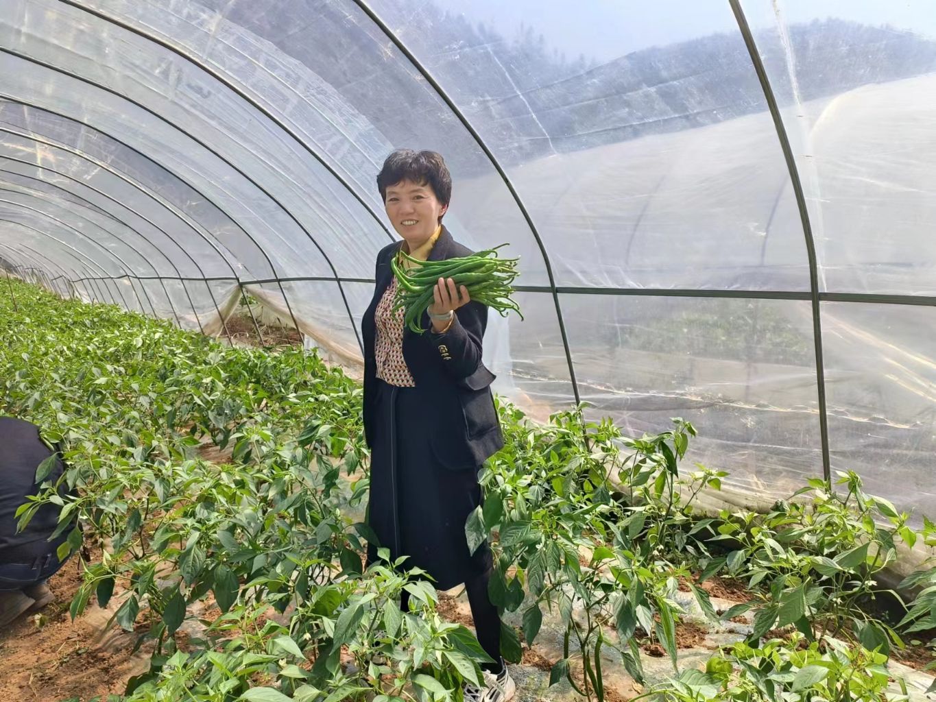 学习身边榜样丨蒋红英:商超股权分给员工,带领乡亲继续致富