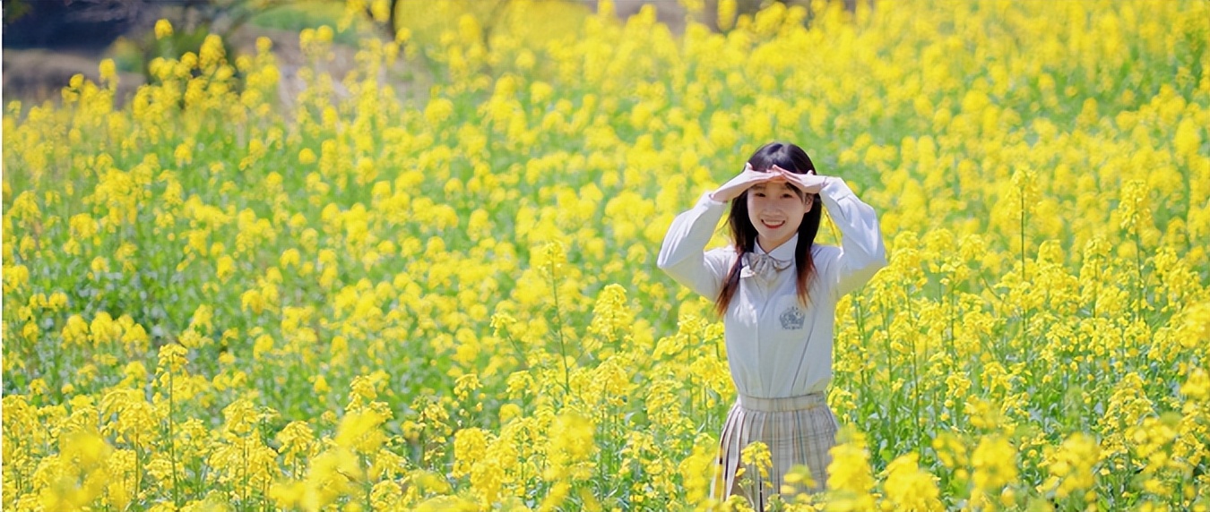 【重点关注】柴门人嘉等：把梅岭建设成为国家级旅游度假区的思考与建议