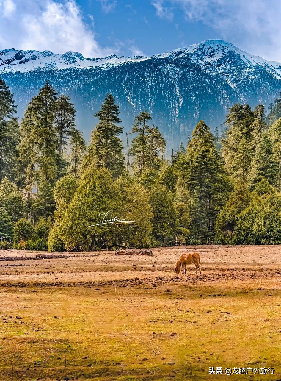 中国最美的古村寨,中国必打卡的56个民族古村寨