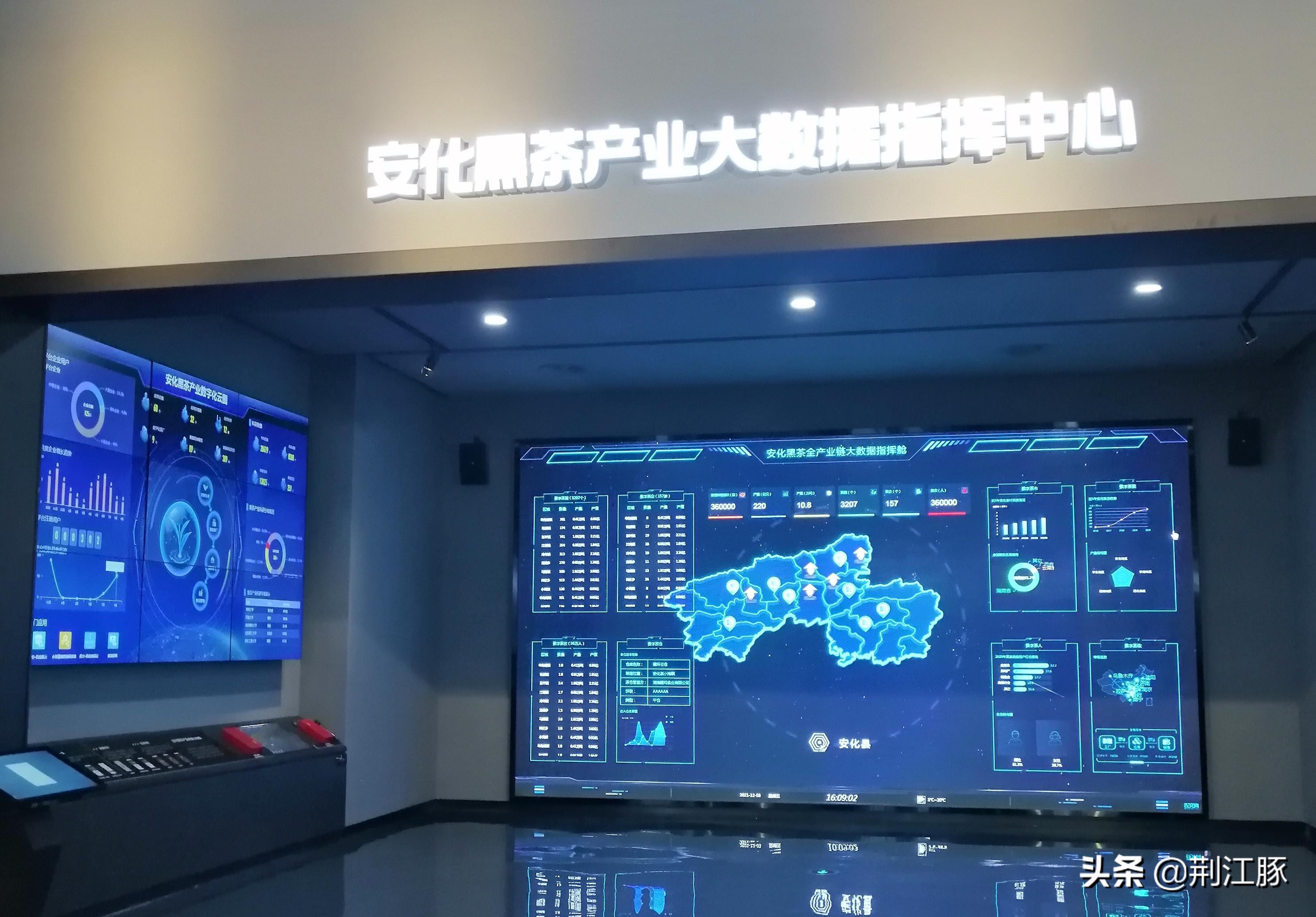 时隔215天,我再次来到这里,了解安化黑茶的前世今生