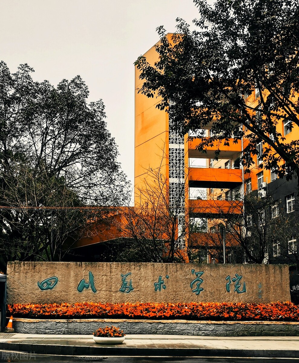 报考四川美院美术联考需要多少分,四川美院校考成绩一分一段