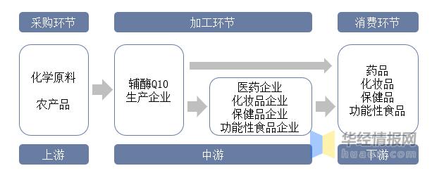 辅酶Q10行业发展前景如何?未来的市场上升空间大