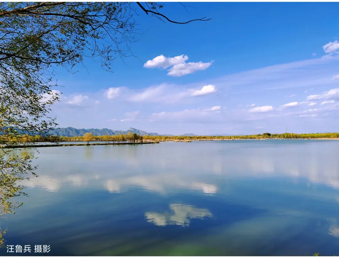 足不出沪也体会假期的快乐,足不出门也能享受大自然的美