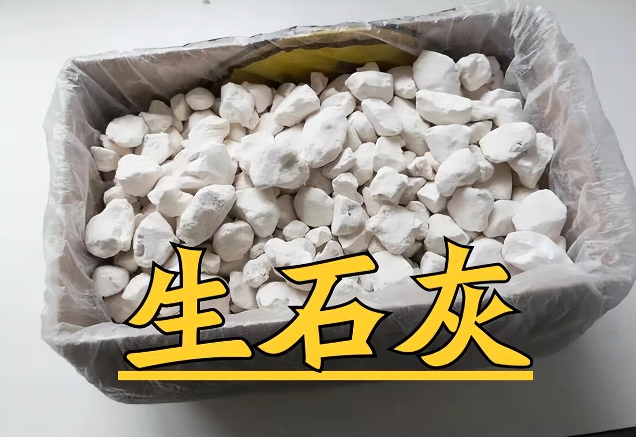 生石灰怎么治疗水霉病,生石灰土壤杀菌怎么用