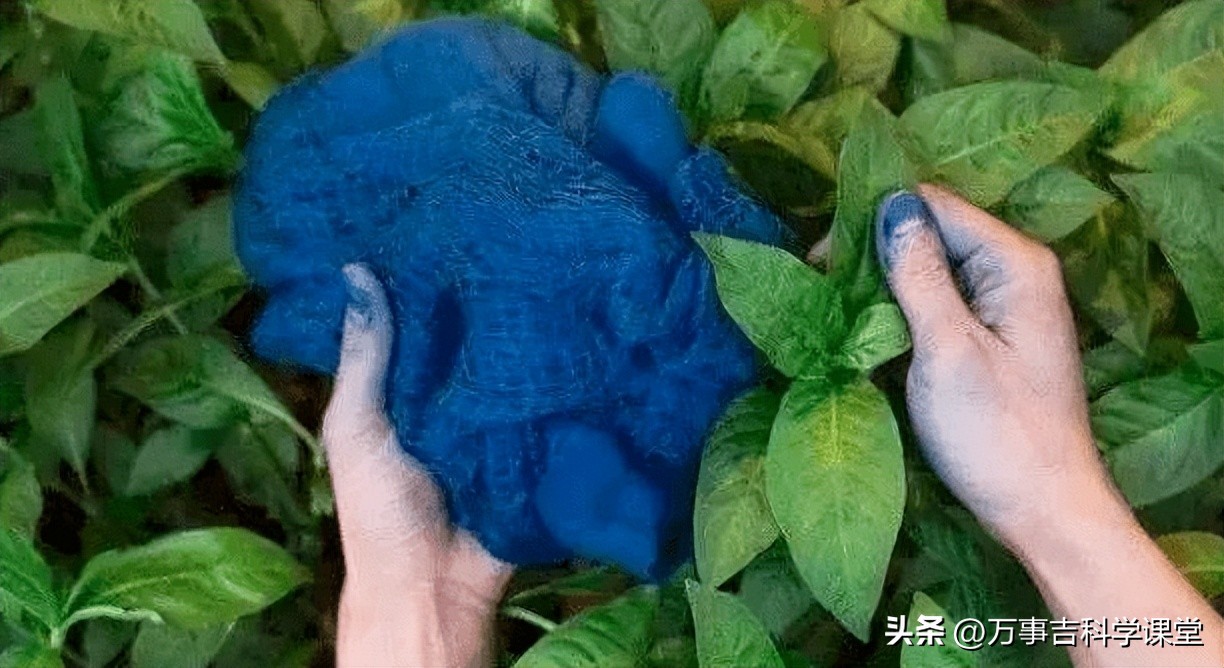 中国化学的发展历程,化学世界第一名