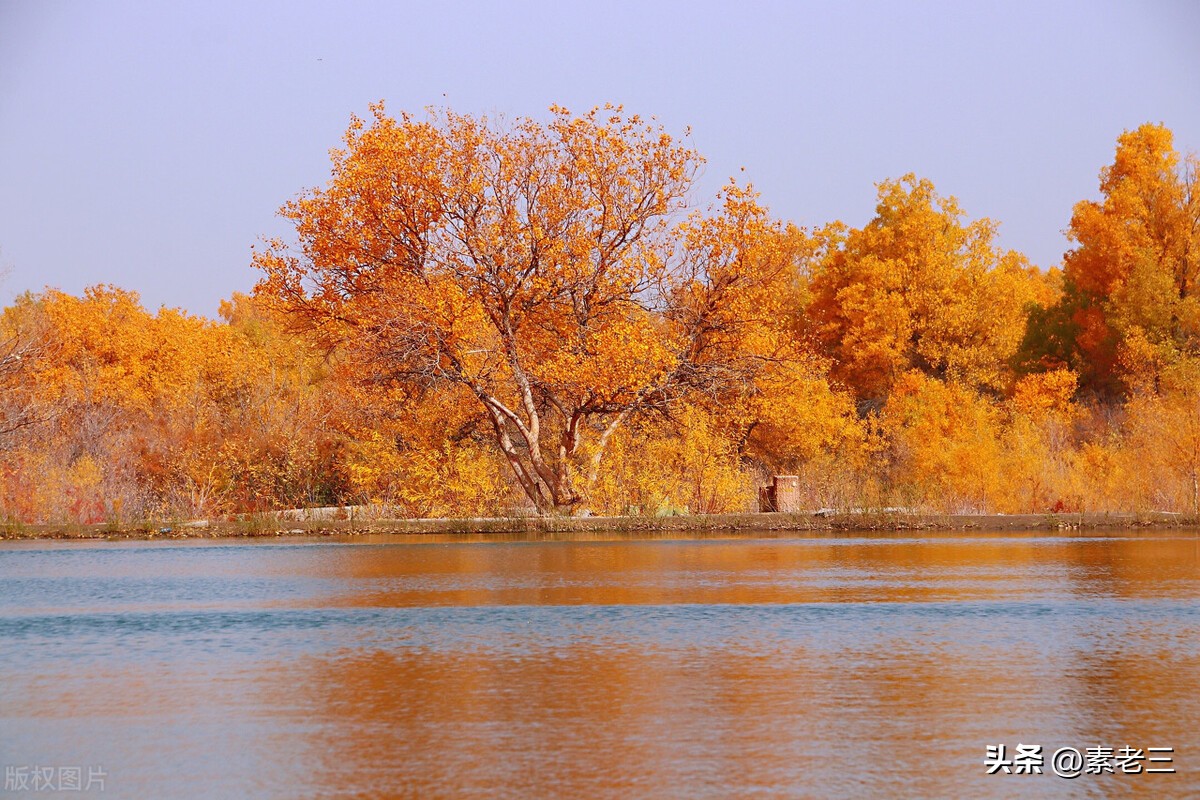 女作家去做保姆530集,女作家去做保姆意外的收获