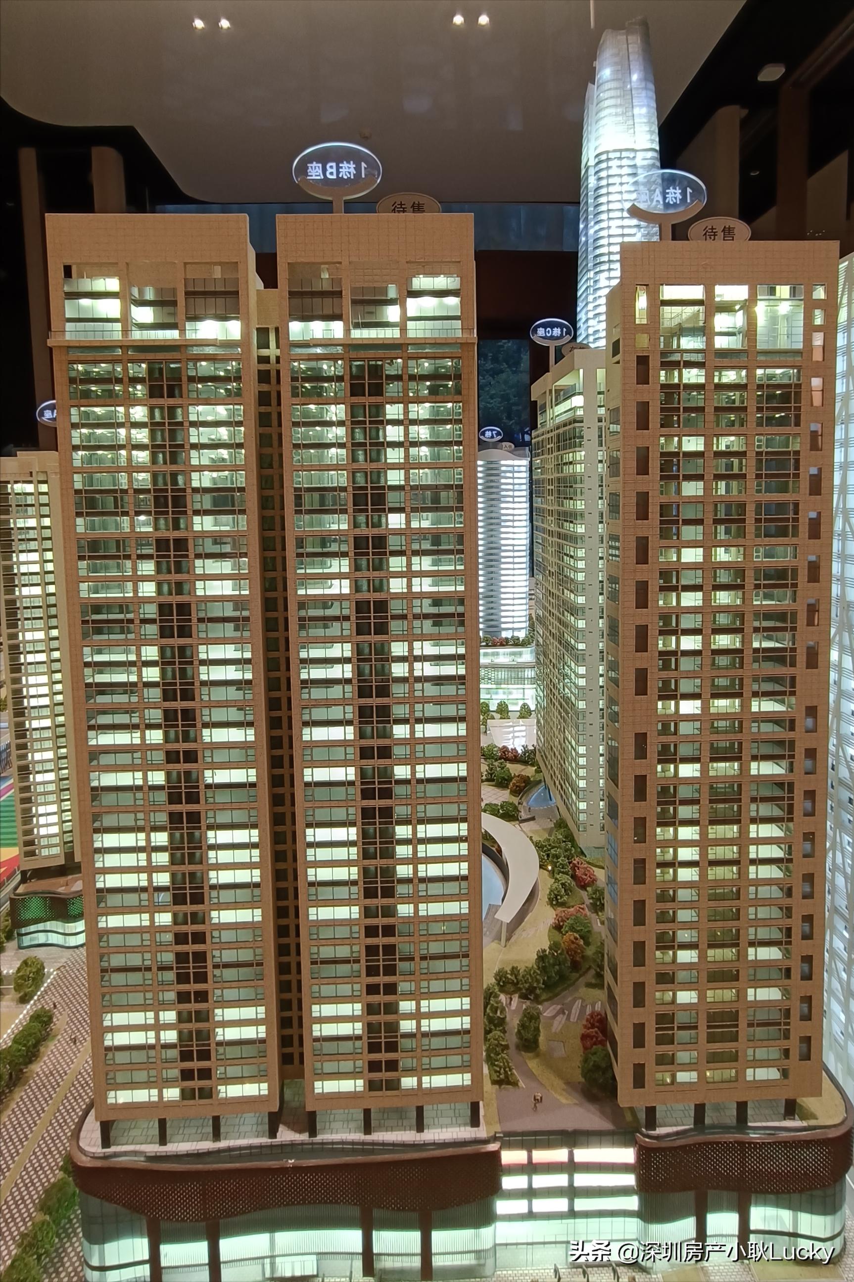 深圳中心天元最好的户型,深圳中心天元539平户型图