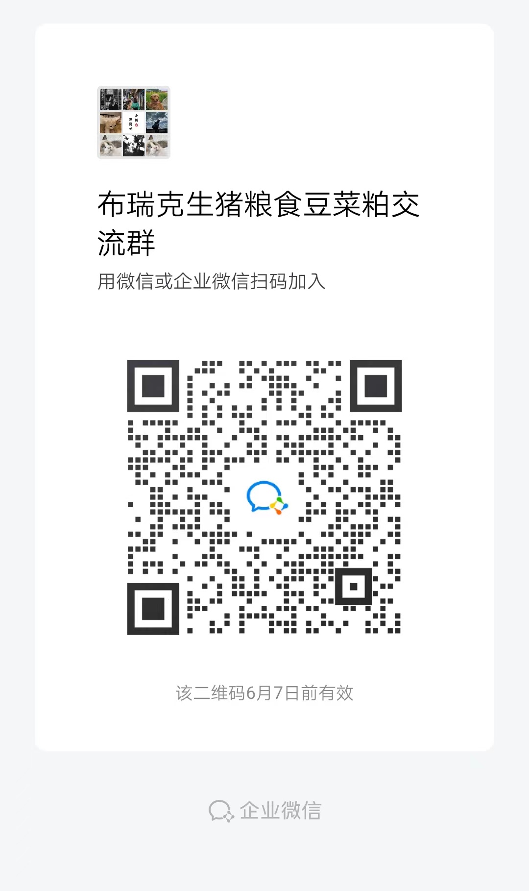菜油价格行情及原因,今日菜粕1701价格走势