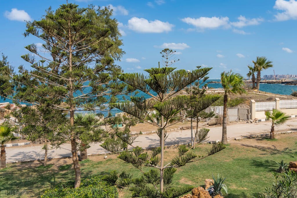 智利到底是一个什么样的国家,智利这个国家怎么来的