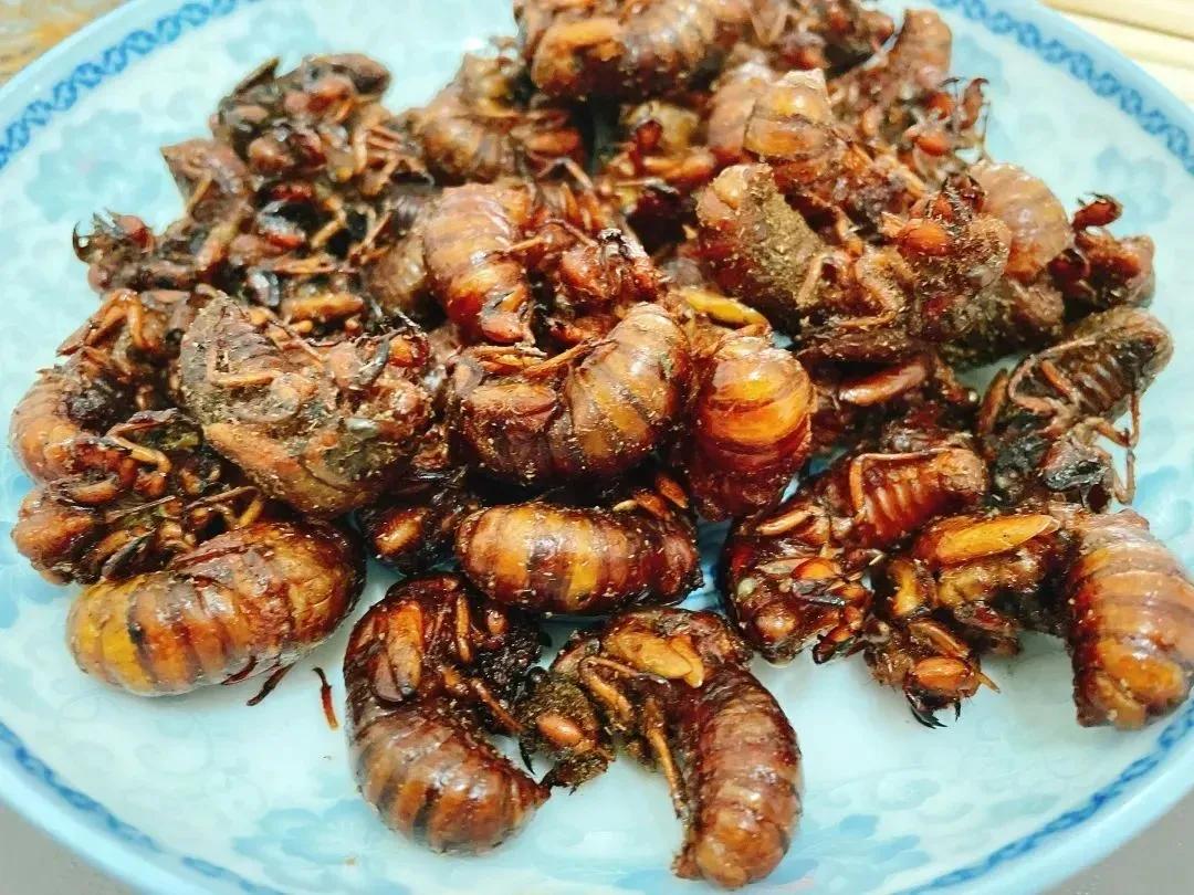 鐑熷彴浜哄枩娆㈢殑娴烽矞,鐑熷彴浜烘渶鐖辩殑娴烽矞