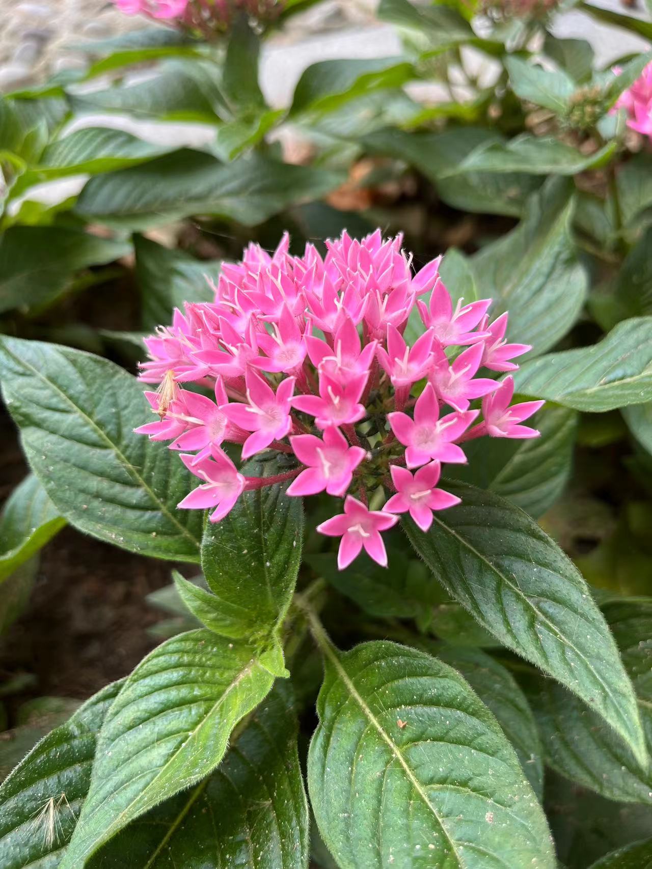 大连旅游全攻略大连北,大连旅行攻略详解最新消息