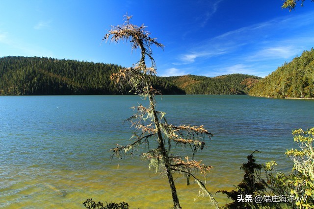 云南周边旅游景点推荐自驾游,2022云南旅游景点攻略自由行