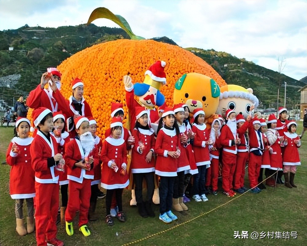 日本爱媛县柑橘,日本爱媛县柑橘研究所