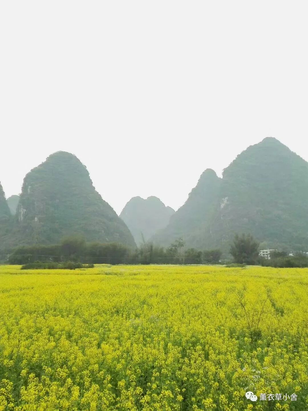 穷游桂林至阳朔多少钱,穷游广西全集完整版