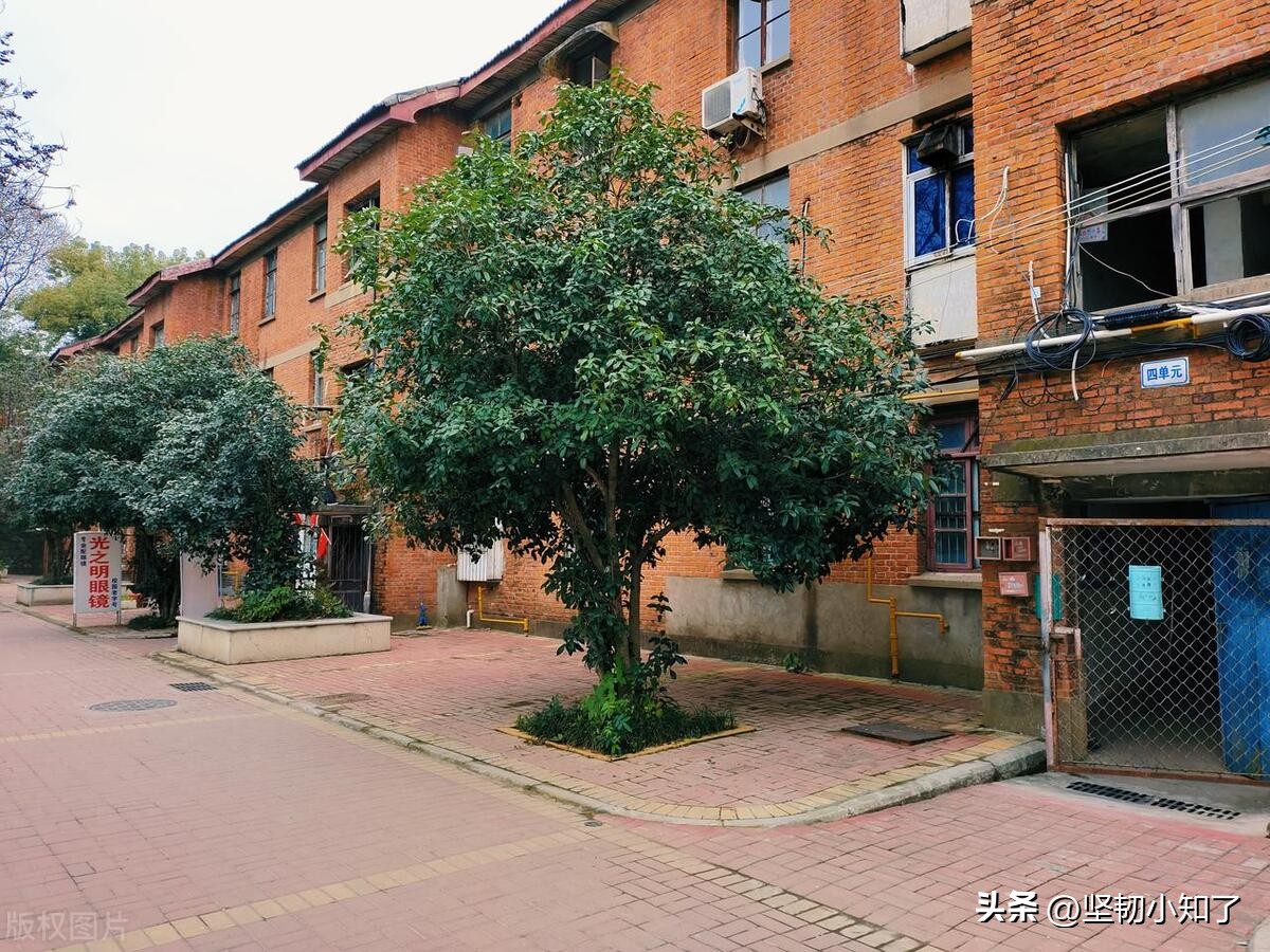 80年家里常见的老物件介绍,这些老物件你家里还能看到几个