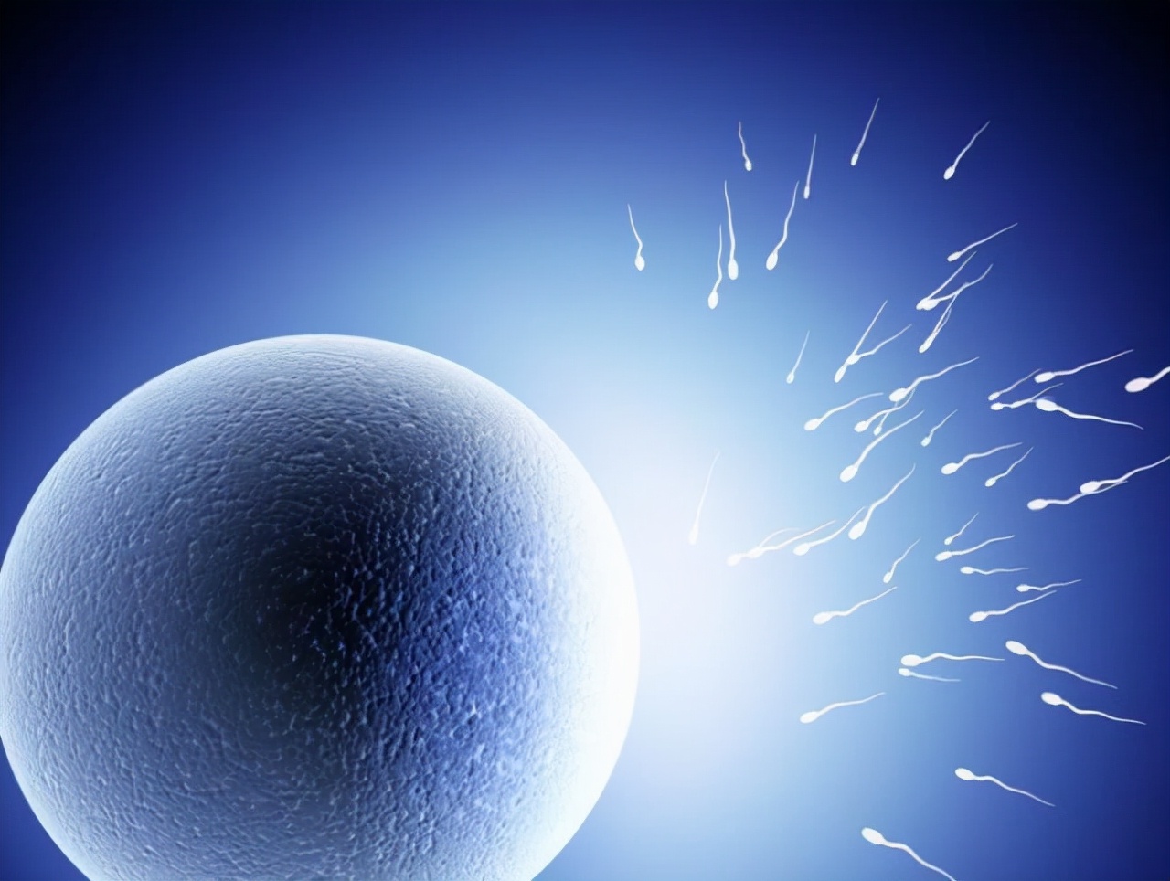 孕期1-10个月注意事项,孕期准备宝宝用品清单