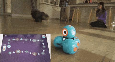 「星球暑假班·幼儿小班」Dash的奇幻之旅