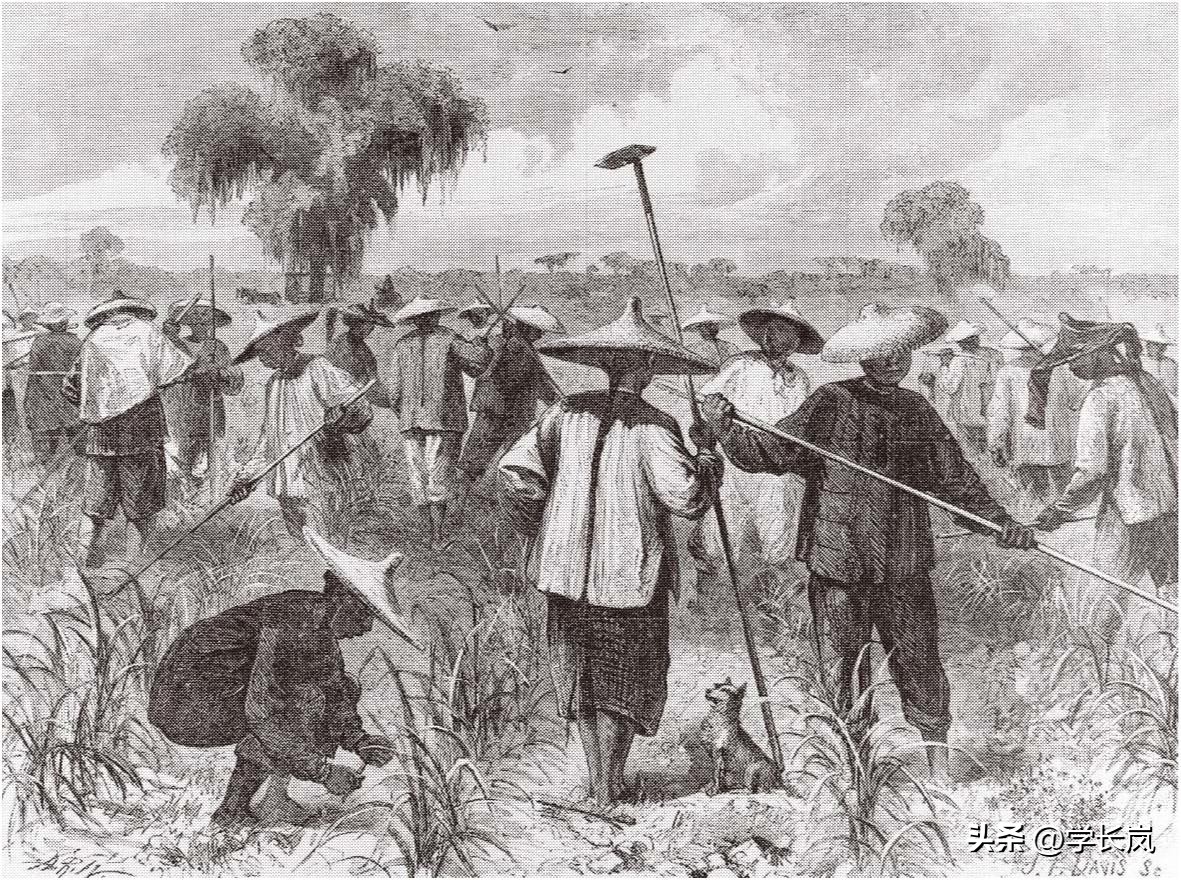 荒野大镖客2十大诡异细节,荒野大镖客2彩蛋r星解释