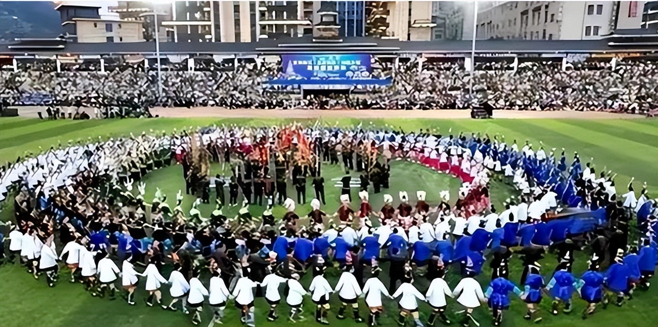 闯球场的球迷,球迷冲进球场拥抱梅西跑了多少米