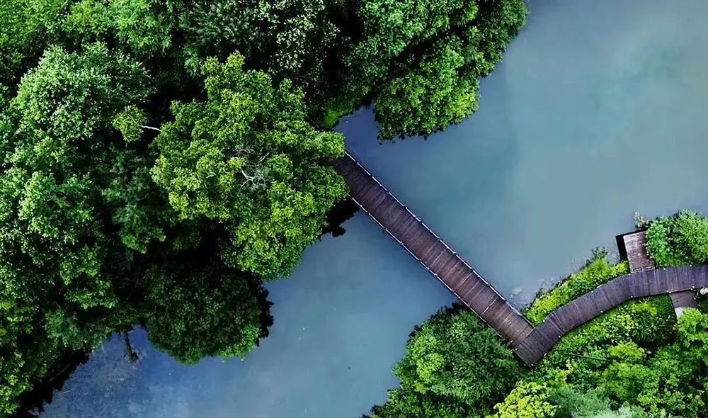 吉林白山一日游自由行攻略,白山三道沟自驾游攻略