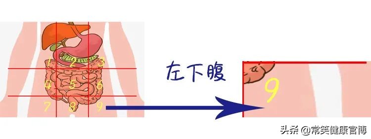 肚子疼胀痛部位对照表,肚子疼是哪里有问题一张图告诉你