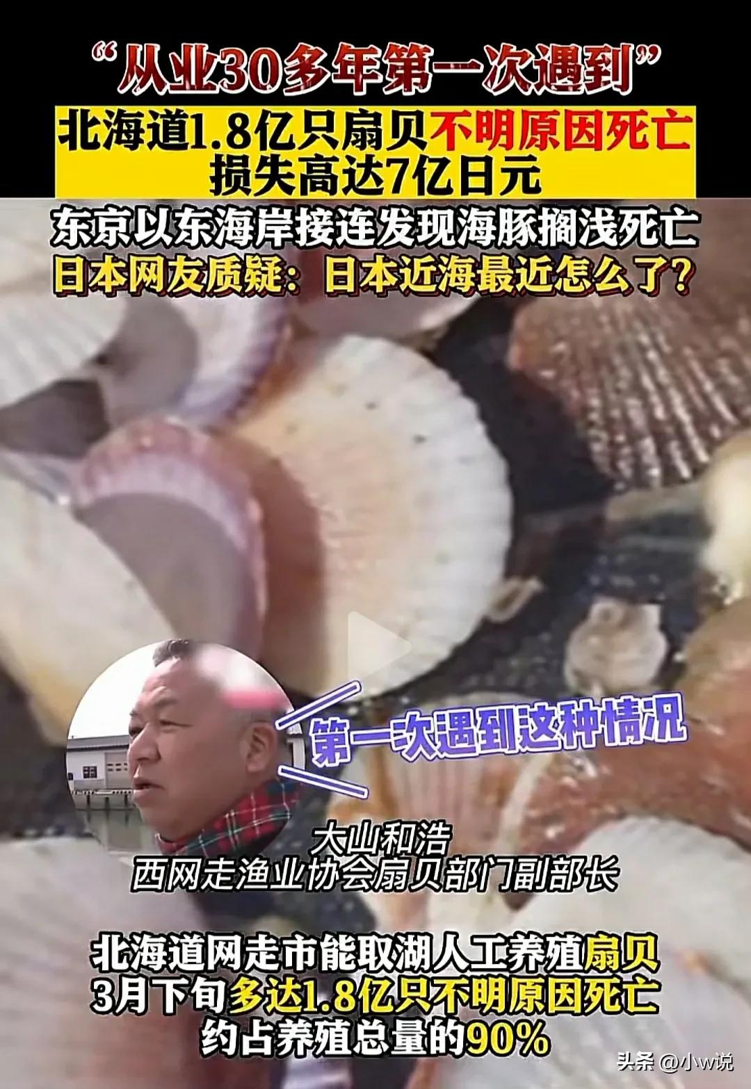 苏州港进口日本海鲜,苏州官方谈进口日本海鲜