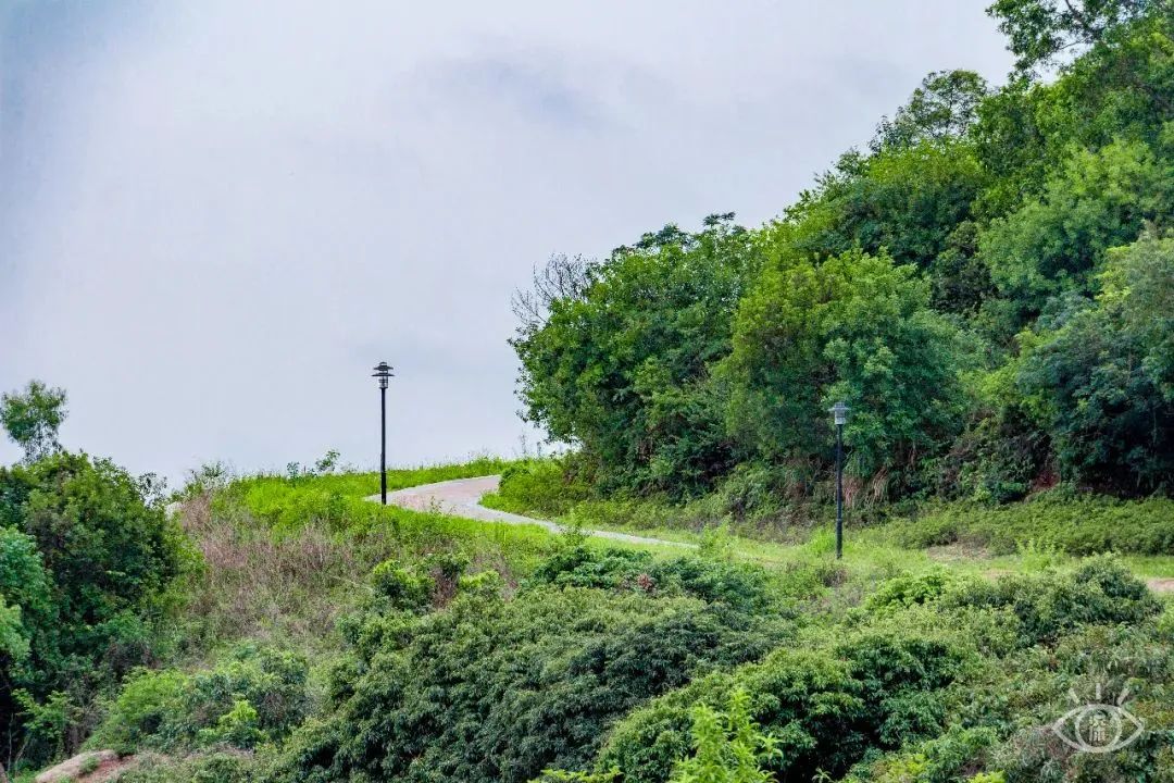 家住深圳必去的公园绿道,深圳环湖绿道好玩么