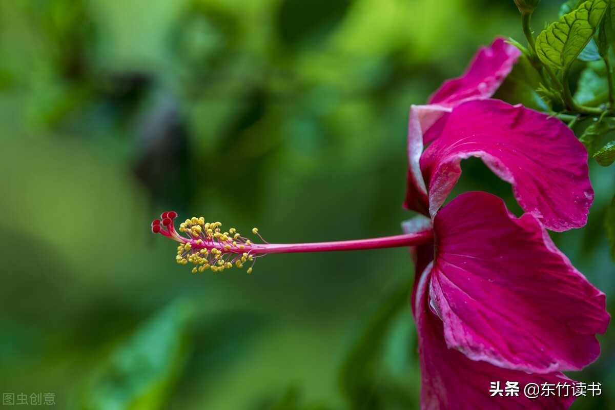 弗洛伊德的性学三论名言,弗洛伊德性学三论经典语录