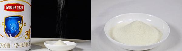 金领冠珍护含opo吗,伊利金领冠珍护opo含量是多少