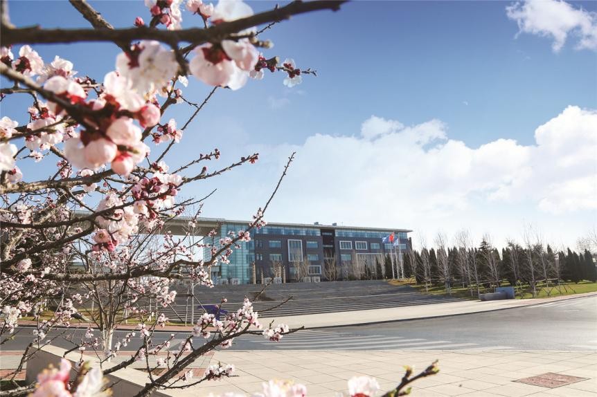 突出贡献！这一表彰在成都揭晓，大连三甲医院一“硬核”科室捧回大奖