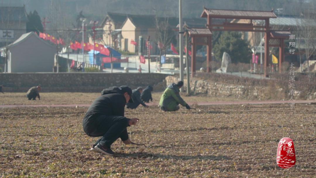 山西晋城南阳村：太行风光无限，忆苦思甜饭香