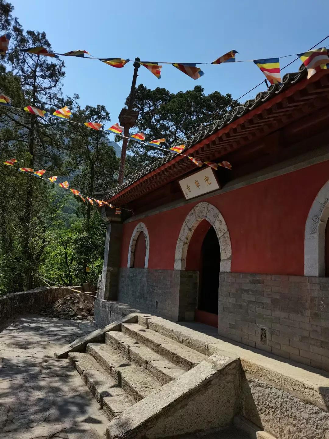 走云梯、寻树王、悟禅意～上方山游记