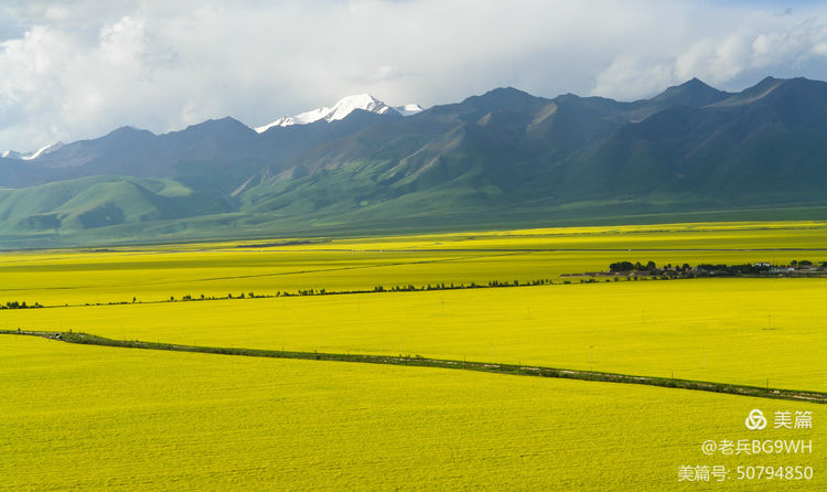 祁连山草原哪里最美,祁连山深处草原