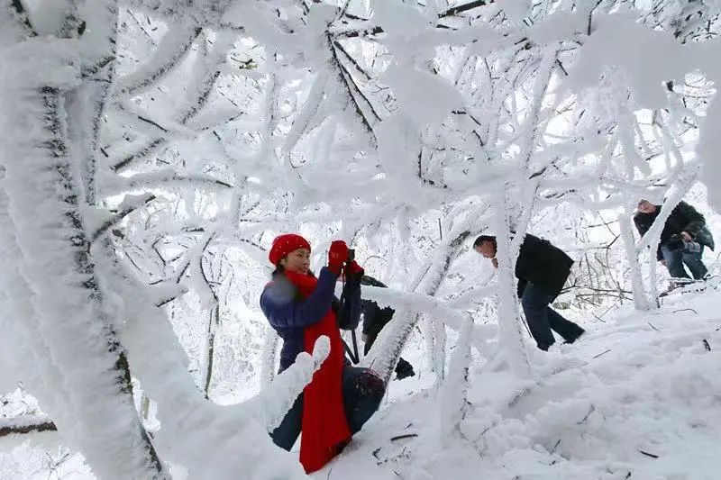想看北国风光？不用去东北，看广元的林海雪原，邂逅一场冰瀑奇缘