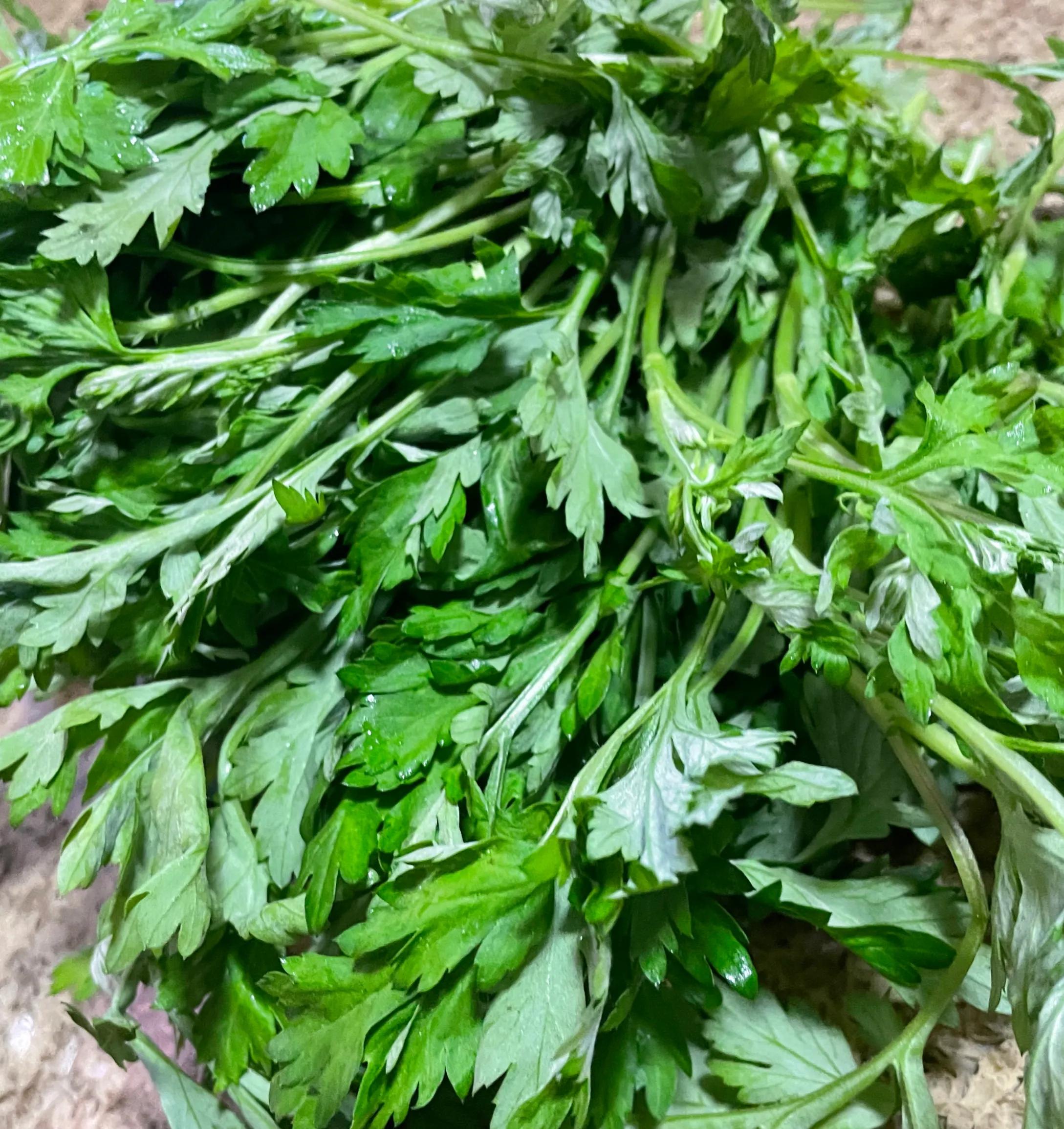 春天里的万山味道,春天里最美的味道