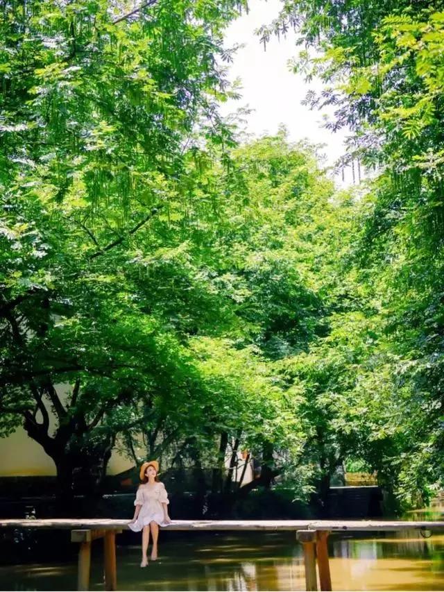 带你去看不一样的黄山之美,2020黄山旅游攻略带你玩转黄山