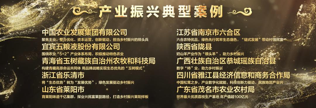 乡村振兴组织振兴优先于产业振兴,文化产业赋能乡村振兴典型案例