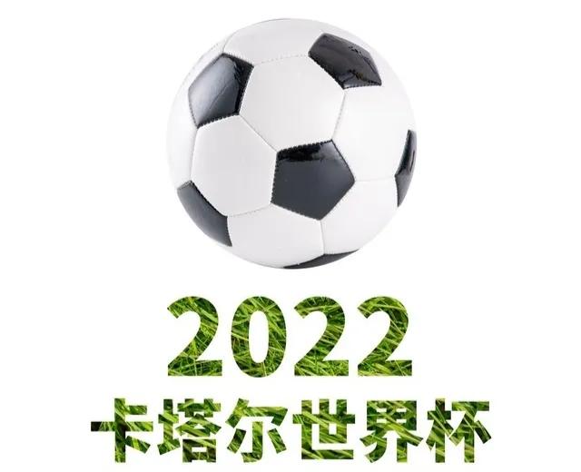 世界杯最火爆场面,世界杯现场气氛高燃