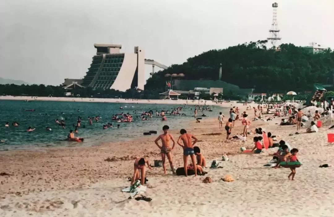 蛇口海上旅游,蛇口海上游深圳