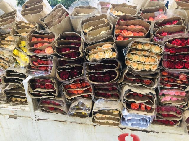 云南旅游攻略昆明旅游攻略,云南昆明旅游攻略