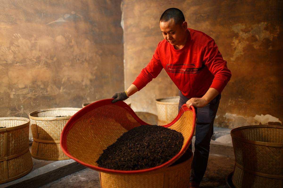 同样是福建的茶叶，“大红袍”和“铁观音”，差距怎么这么大？